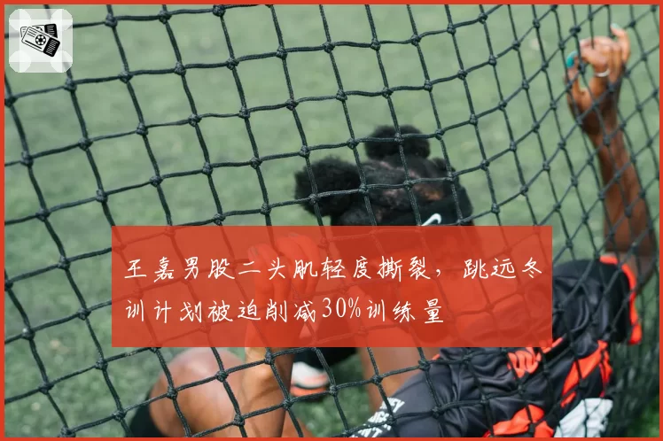 王嘉男股二头肌轻度撕裂，跳远冬训计划被迫削减30%训练量