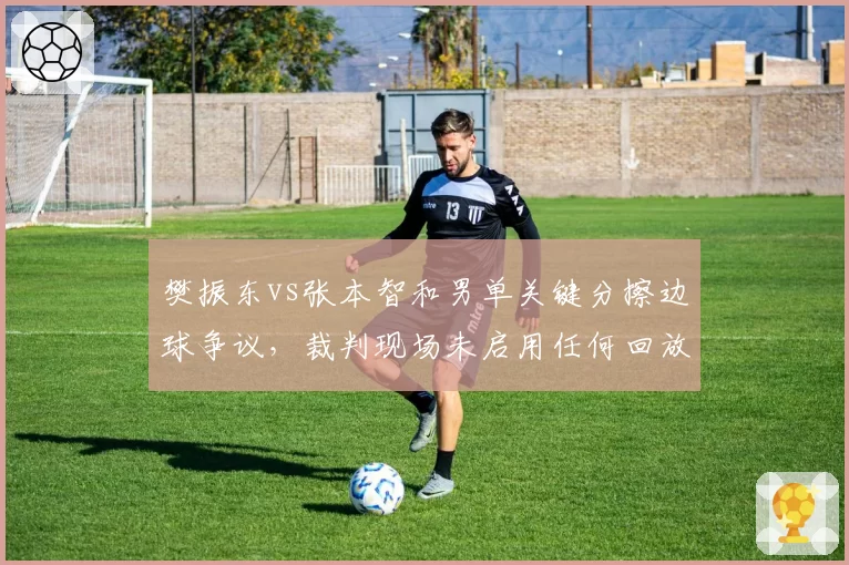 樊振东vs张本智和男单关键分擦边球争议，裁判现场未启用任何回放设备