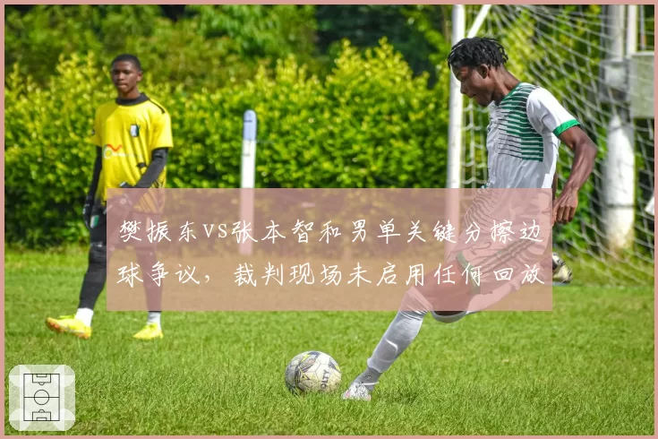 樊振东vs张本智和男单关键分擦边球争议，裁判现场未启用任何回放设备