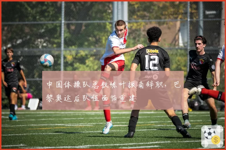 中国体操队总教练叶振南辞职，巴黎奥运后队伍面临重建