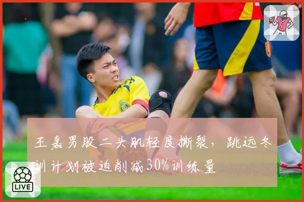 王嘉男股二头肌轻度撕裂，跳远冬训计划被迫削减30%训练量