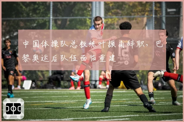中国体操队总教练叶振南辞职，巴黎奥运后队伍面临重建